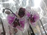     
: 2013-02-07 10.59.13.jpg
: 17
:	114.9 
ID:	5646327