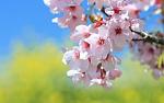     
: DesktopMania_ru-30148-300x187.jpg
: 7
:	11.4 
ID:	5651573