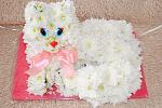     
: DSC_0116.jpg
: 53
:	121.9 
ID:	5651589