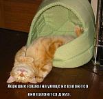     
: FII7Rp9ToVQ.jpg
: 7
:	47.0 
ID:	5651866