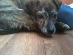     
: IMG_1340.jpg
: 9
:	139.8 
ID:	5652778