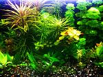     
: IMG_04-02-2013_134818.jpg
: 16
:	251.3 
ID:	5655383