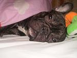     
: P2040023.JPG
: 18
:	53.1 
ID:	5658614