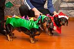     
: IMG_0799.jpg
: 8
:	119.8 
ID:	5661181