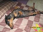     
: IMG_3639.jpg
: 10
:	199.3 
ID:	5661260