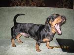     
: IMG_4764.jpg
: 6
:	193.0 
ID:	5661273