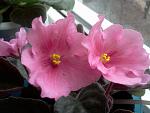     
: Фото3683.jpg
: 8
:	126.7 
ID:	5661885