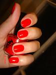     
: DSC00978.jpg
: 7
:	46.8 
ID:	5661922