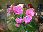     
: Фото3708.jpg
: 9
:	175.3 
ID:	5661974