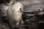     
: DSC08257-1.jpg
: 14
:	87.1 
ID:	5663045
