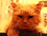     
: IMG_4075.jpg
: 3
:	135.7 
ID:	5663306