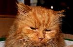     
: IMG_4089.jpg
: 5
:	141.8 
ID:	5663367