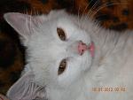     
: DSCN1987.jpg
: 16
:	116.3 
ID:	5663745