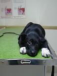    
: 20130210_143122.jpg
: 5
:	52.2 
ID:	5667749