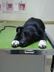     
: 20130210_143059.jpg
: 6
:	56.3 
ID:	5667753