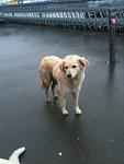     
: IMG_1377.jpg
: 12
:	67.0 
ID:	5667870