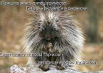     
: getImageCAZSVKGA.jpg
: 7
:	71.5 
ID:	5668280