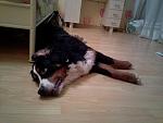     
: 2013-02-11-0247.jpg
: 3
:	128.8 
ID:	5681680