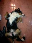     
: 2013-02-02-0109.jpg
: 4
:	64.0 
ID:	5681682