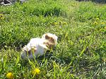     
: CIMG0572.jpg
: 9
:	306.1 
ID:	5683074