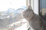     
: DSC_0058.jpg
: 13
:	74.4 
ID:	5688515