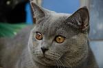     
: DSC_0068.jpg
: 23
:	106.4 
ID:	5688520