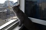     
: DSC_0031.jpg
: 33
:	74.5 
ID:	5688523