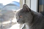     
: DSC_0061.jpg
: 22
:	91.4 
ID:	5688524