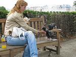     
: IMG_0023.jpg
: 20
:	217.7 
ID:	5688824
