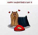    
: valentine day.jpg
: 8
:	15.7 
ID:	5692127