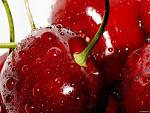     
: DesktopMania_ru-14312-300x225.jpg
: 7
:	19.2 
ID:	5695185