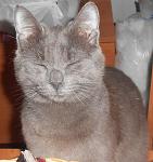     
: DSCN0363.jpg
: 3
:	123.6 
ID:	5695229