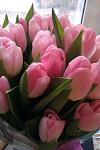     
: IMAG0566.jpg
: 26
:	81.2 
ID:	5695898