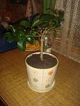     
: DSC02727.jpg
: 8
:	110.7 
ID:	5696401