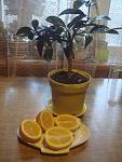     
: DSC02718.jpg
: 8
:	119.0 
ID:	5696402