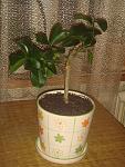     
: DSC02738.jpg
: 4
:	152.3 
ID:	5696403