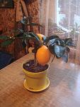     
: DSC02711.jpg
: 8
:	110.4 
ID:	5696404