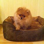     
: 487839_155556127932579_738674198_n.jpg
: 24
:	110.3 
ID:	5697747