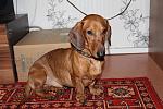     
: IMG_5614.JPG
: 8
:	182.4 
ID:	5697847