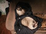     
: P2010283.jpg
: 7
:	131.7 
ID:	5700020