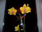     
: 454555454545GEDC2164.jpg
: 13
:	75.5 
ID:	5701732