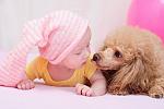     
: DSC_8698.jpg
: 8
:	92.7 
ID:	5702494