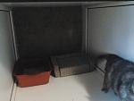     
: 2013-02-16 11.55.48.jpg
: 7
:	87.1 
ID:	5704504