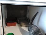     
: 2013-02-16 11.56.19.jpg
: 10
:	89.6 
ID:	5704505