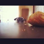     
: image.jpg
: 9
:	109.6 
ID:	5707634