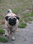    
: jim 036.jpg
: 31
:	125.2 
ID:	571109