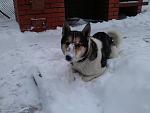     
: IMG_20130128_085419.jpg
: 5
:	95.3 
ID:	5711343