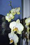     
: DSC_0013.jpg
: 5
:	56.5 
ID:	5712499