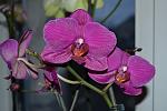     
: DSC_0011.jpg
: 6
:	105.5 
ID:	5712500
