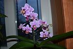     
: DSC_0016.jpg
: 2
:	83.9 
ID:	5712507